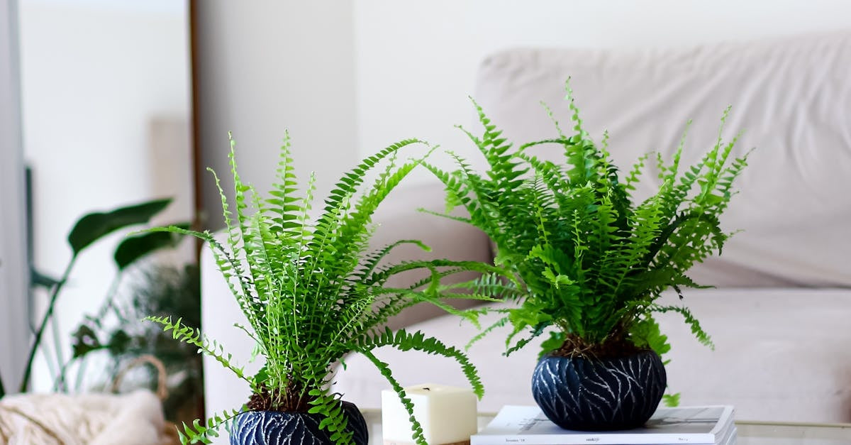 How to Decorate with Artificial Ferns for a Fresh, Lush Look Indoors