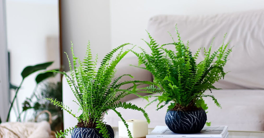 How to Decorate with Artificial Ferns for a Fresh, Lush Look Indoors