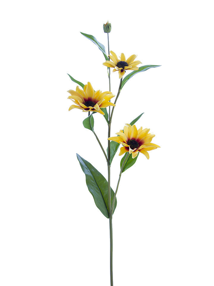 Sunburst Black-Eyed Susan Spray (4-Colors)