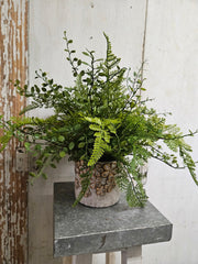 Custom Mixed Fern in Golden Flower Petal Container