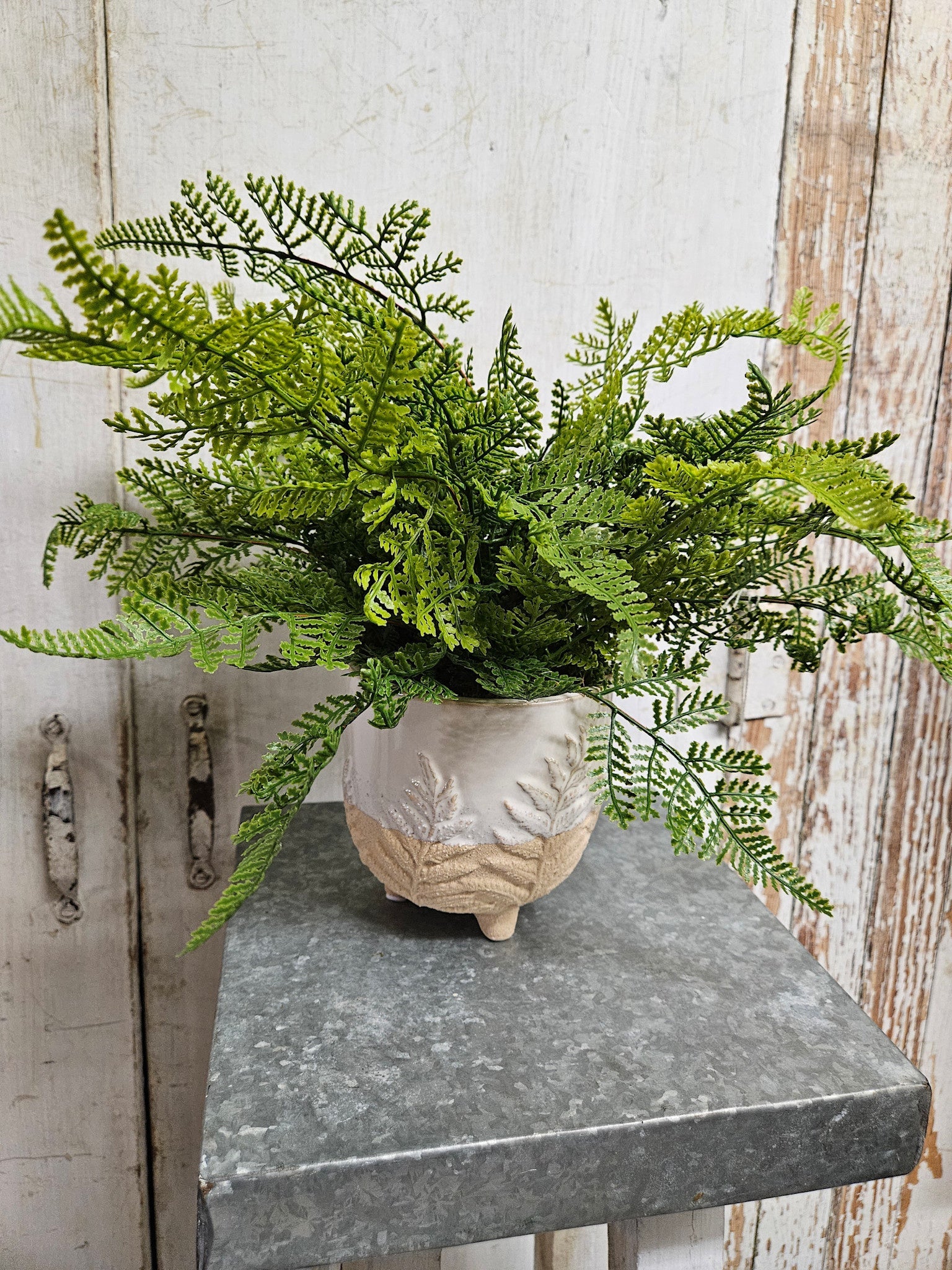 Custom Lace Fern in Footed Fern Planter