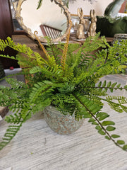 Custom Sword & Leather Fern in Green Terra Cotta Container