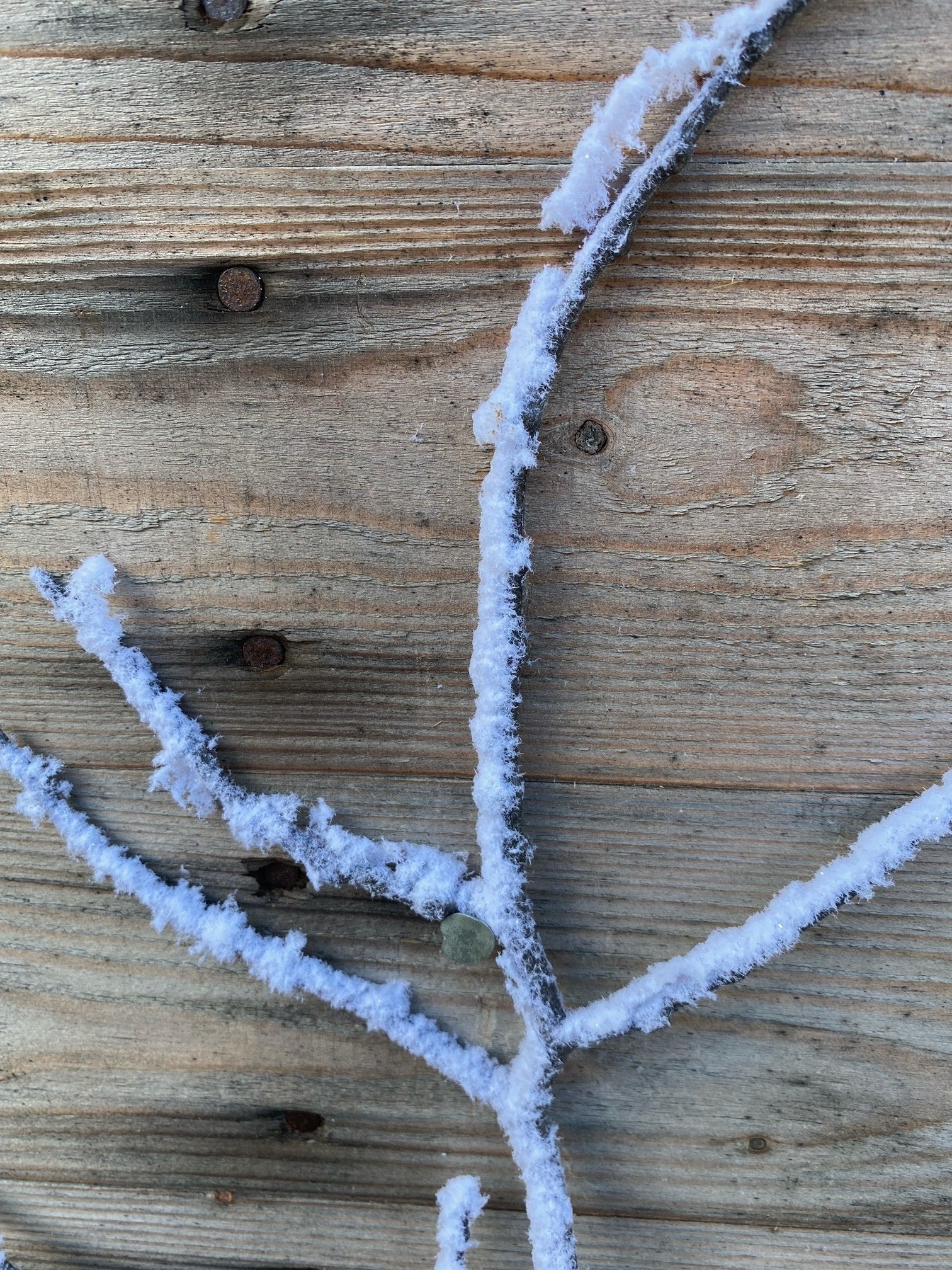 36" Snow Twig Branch