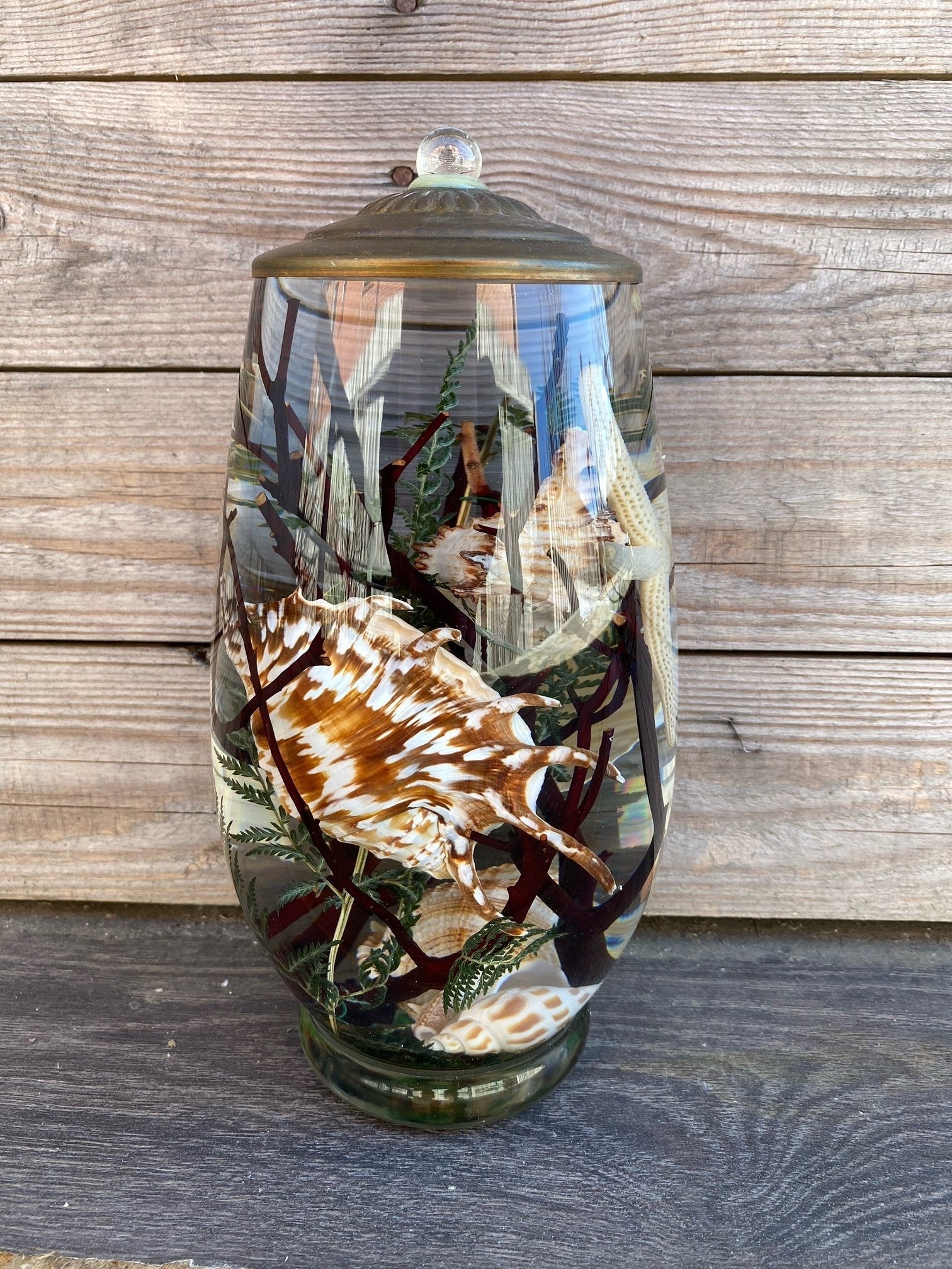 Seashell Lifetime Candle (9-Styles)