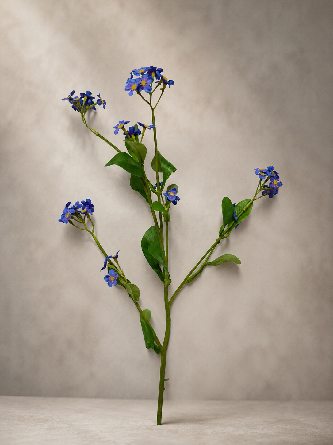 19" Forget-Me-Not Stem