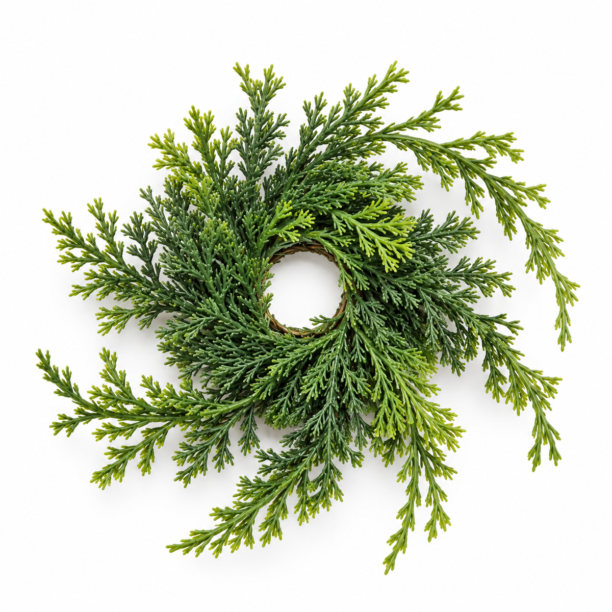Trailing Cypress Taper Candle Ring