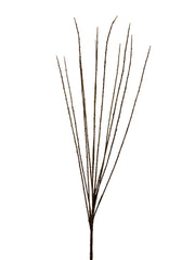37" Broom Branch Brown