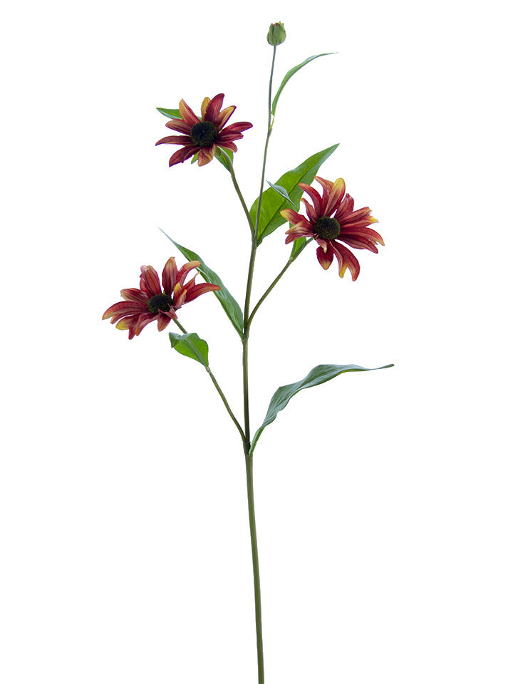 Sunburst Black-Eyed Susan Spray (4-Colors)