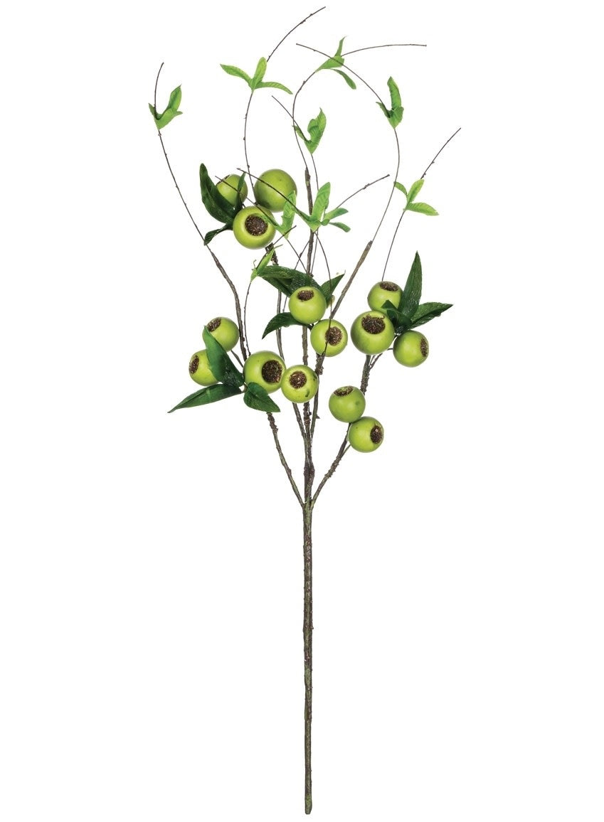 Green Willow Berry Pod Spray
