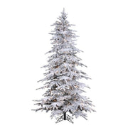 Flocked Stay-Lit Balsam Tree (4 Sizes)