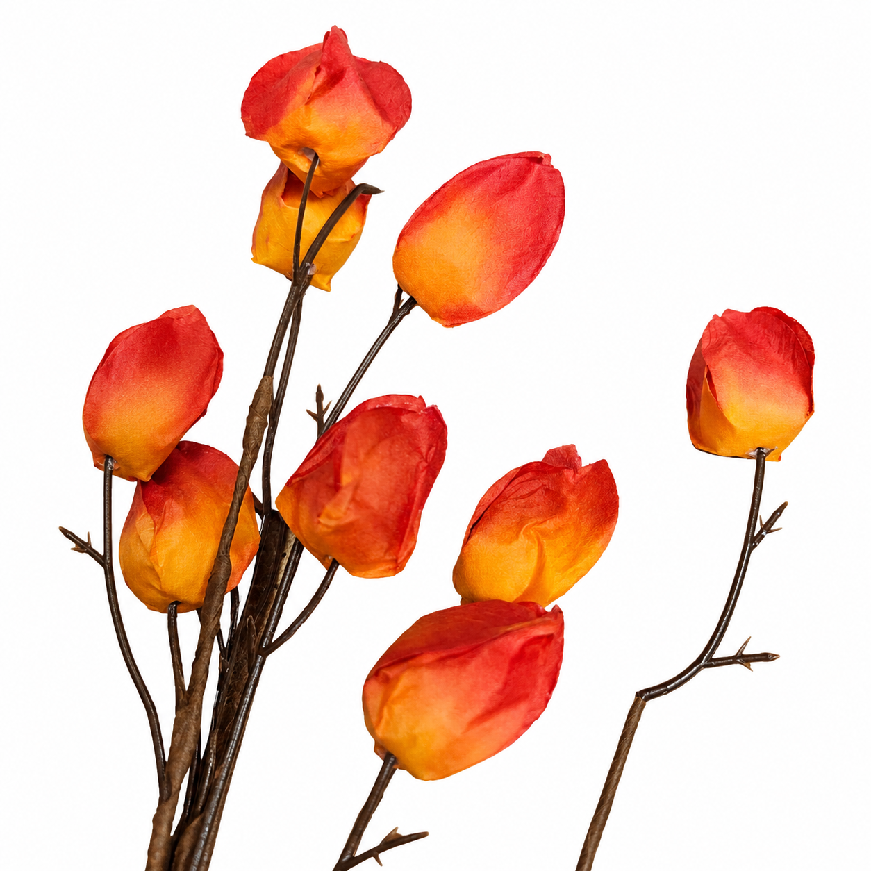 Chinese Lantern Spray (2 Colors)