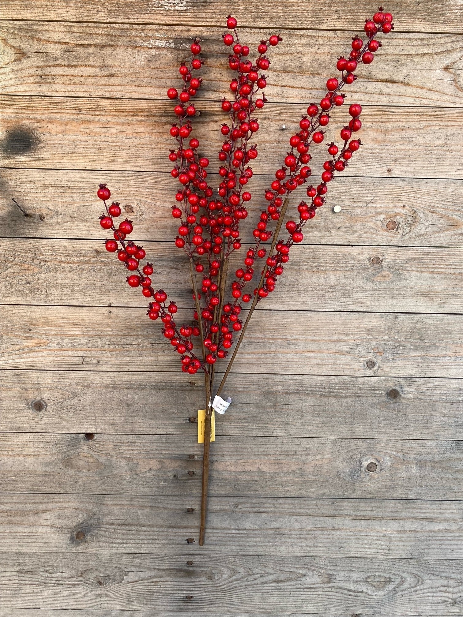 Weather Resistant Red Berry Cluster Branch  DS-11