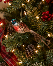 Glass Pheasant with Feathertail Ornament