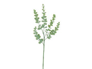Mini Dusty Eucalyptus Spray