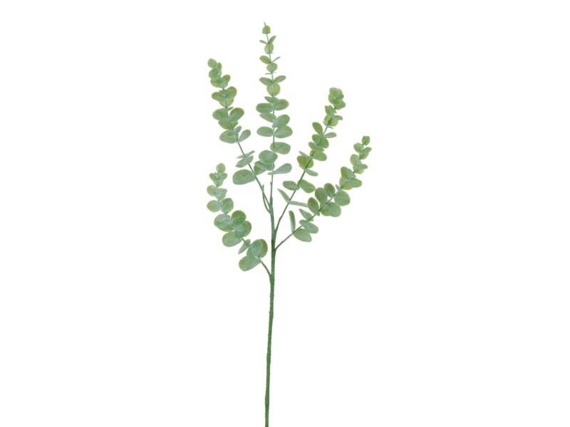 Mini Dusty Eucalyptus Spray