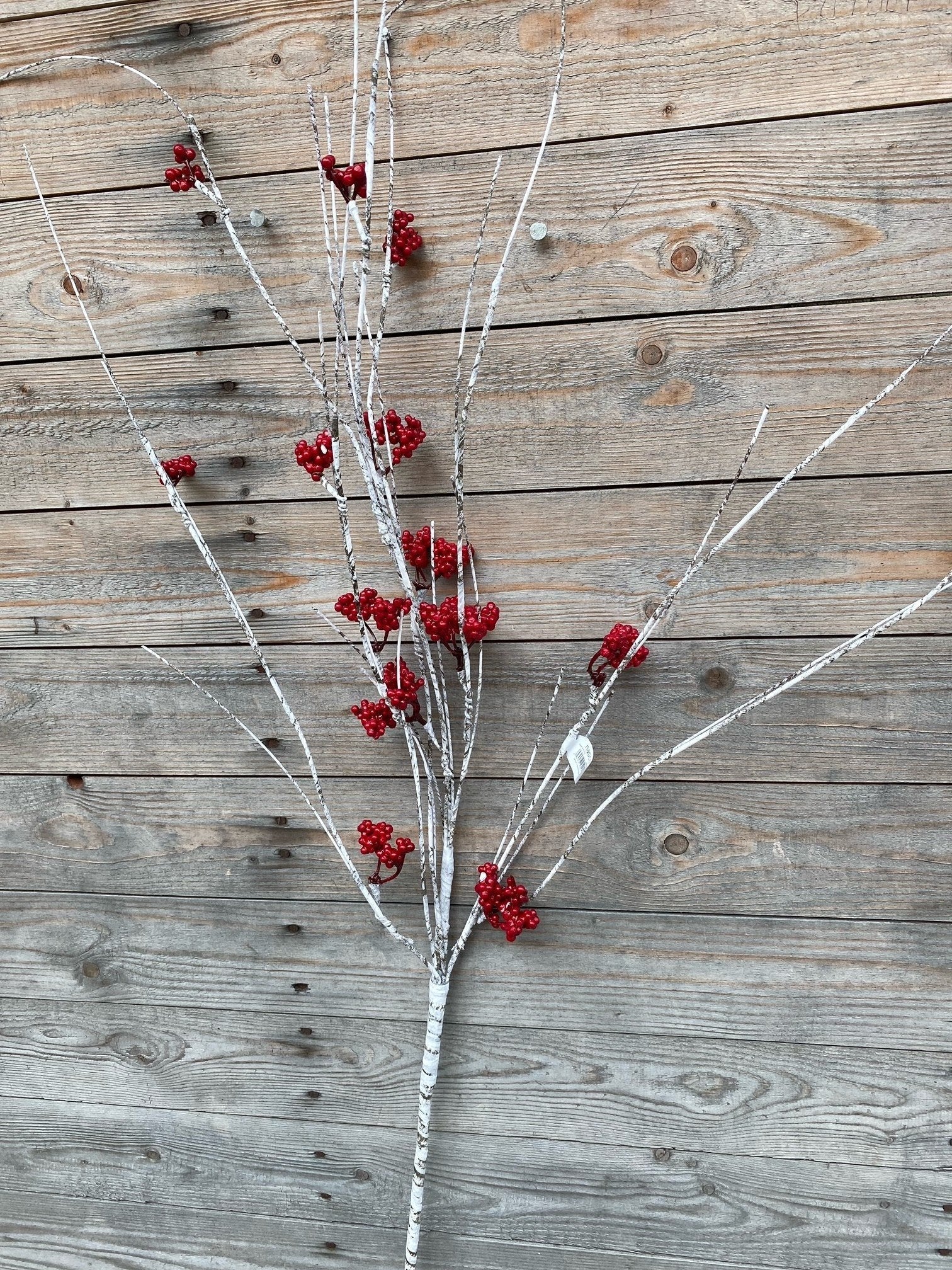 Red Berry Birch Spray