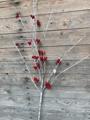 Red Berry Birch Spray