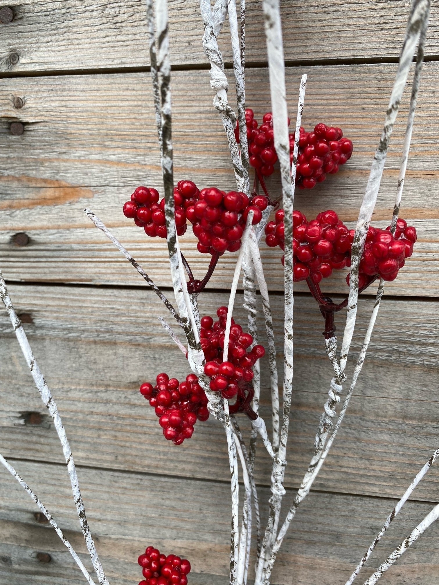 Red Berry Birch Spray