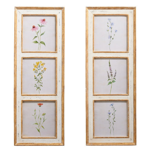 38" Botanical Framed Print (2-Styles)