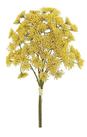 Golden Yarrow Bundle