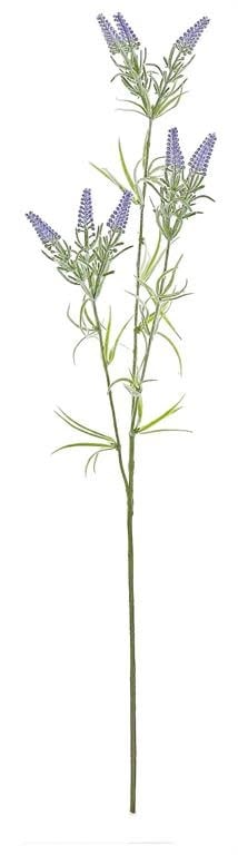 Dusty Heather Spray (2-Colors)