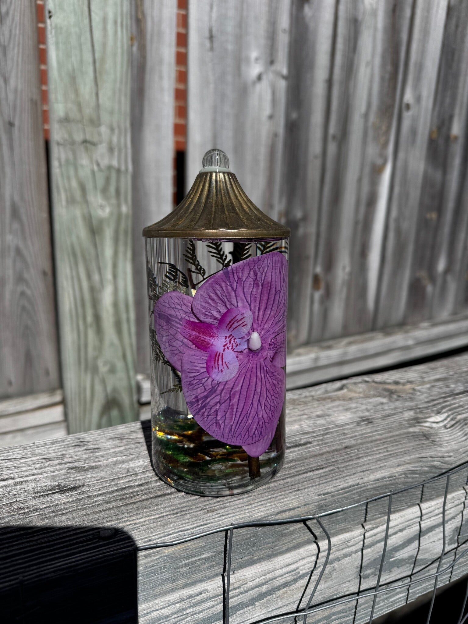 Phalaenopsis Orchid Lifetime Oil Candle (7-Styles)