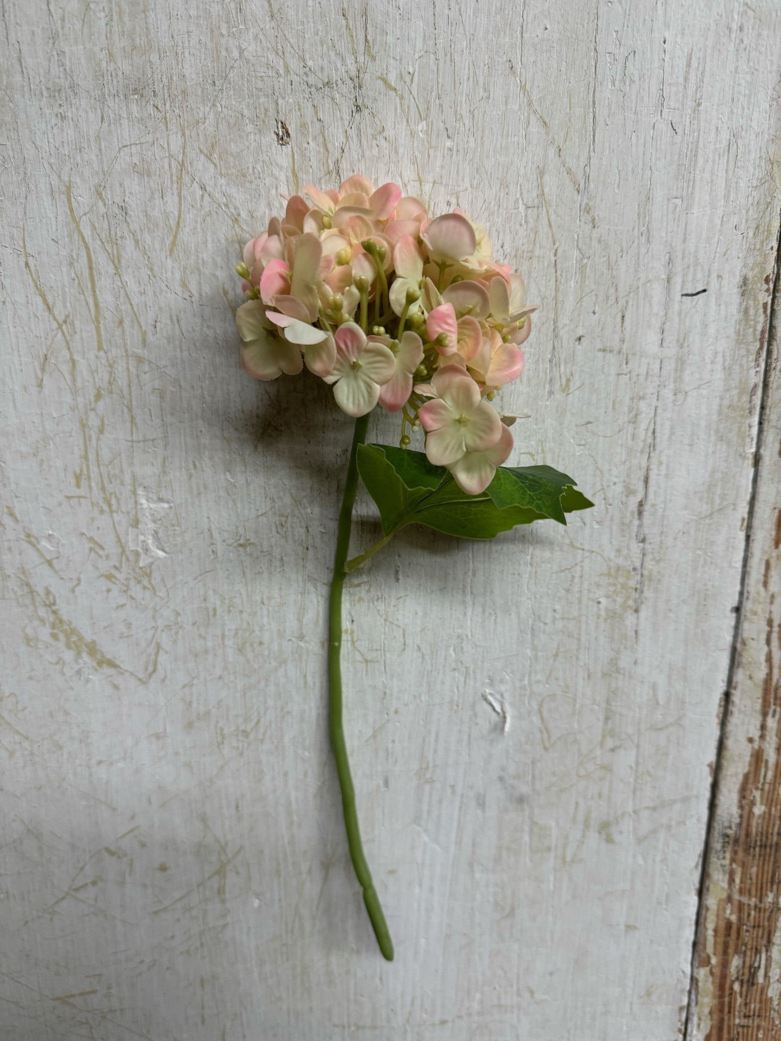 Mini Soft Touch Hydrangea (3-Colors)