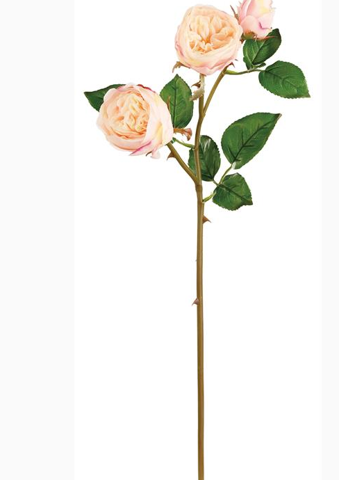 Soft Touch Natural Rose (3-Colors)
