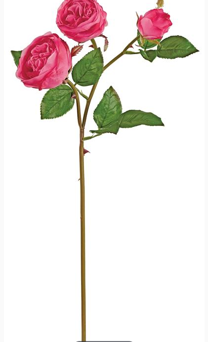 Soft Touch Natural Rose (3-Colors)