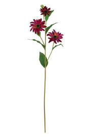 Sunburst Black-Eyed Susan Spray (4-Colors)