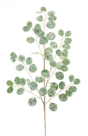 Frosted Silver Dollar Spray