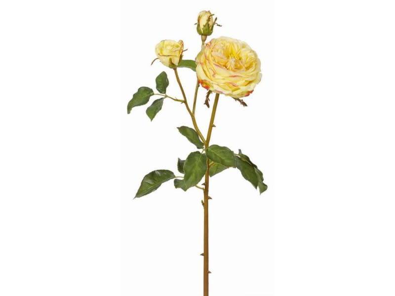 English Rose Bloom (4-Colors)