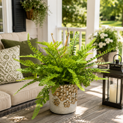 Custom Mixed Fern in Golden Flower Petal Container
