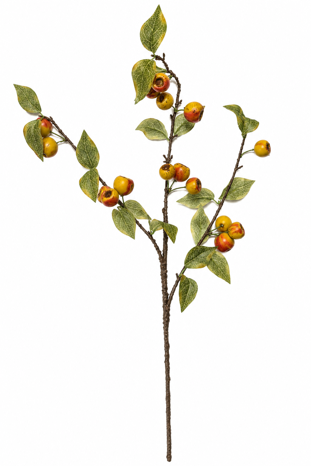 Harvest Orchard Pod Stem