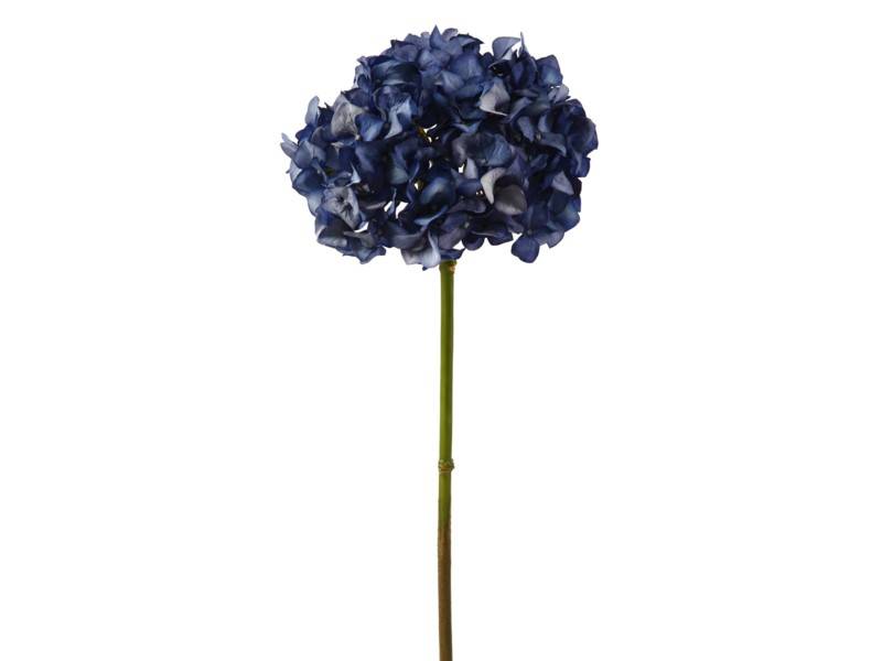 Pointed Petal Hydrangea (3 Colors)