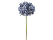 Pointed Petal Hydrangea (3 Colors)