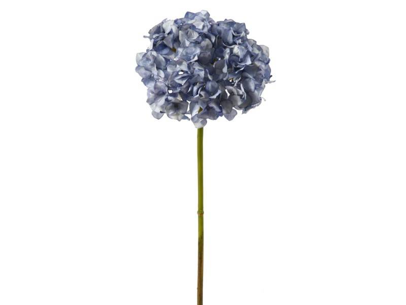 Pointed Petal Hydrangea (3 Colors)