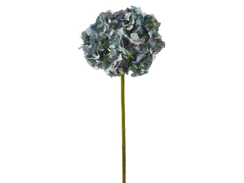 Pointed Petal Hydrangea (3 Colors)