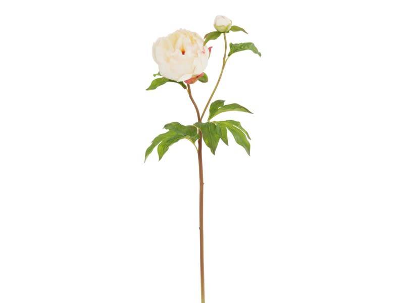 Natural Touch Peony Bloom (4 Colors)
