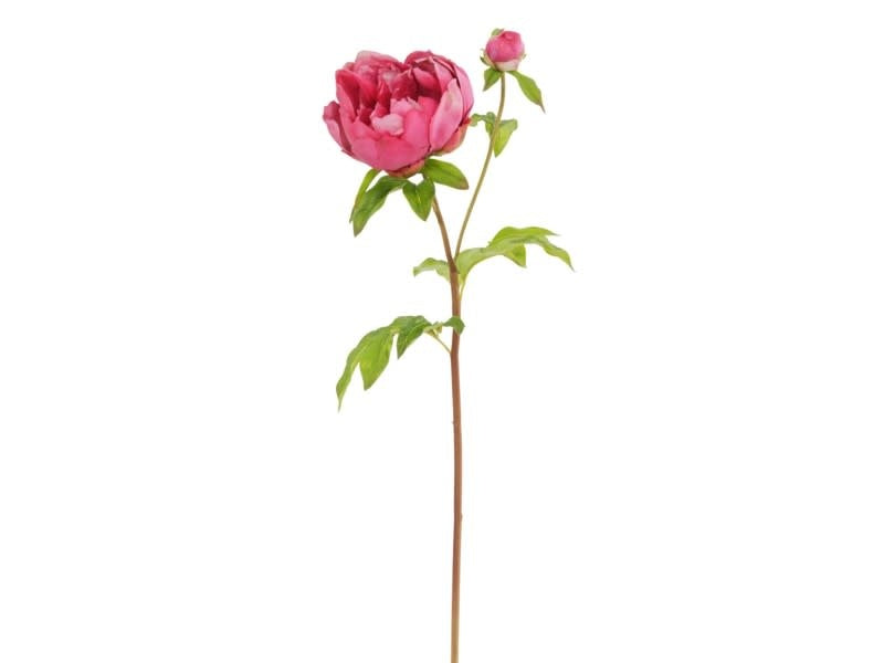 Natural Touch Peony Bloom (4 Colors)