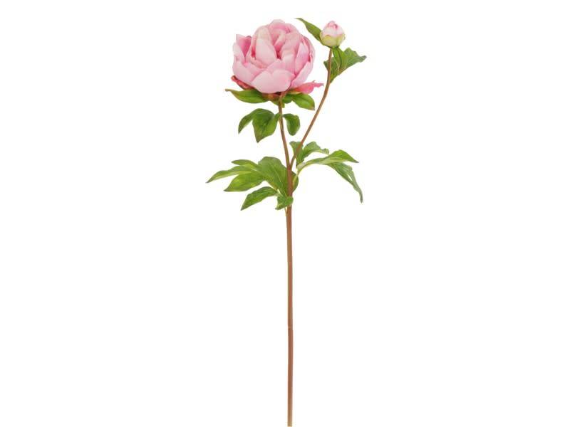 Natural Touch Peony Bloom (4 Colors)