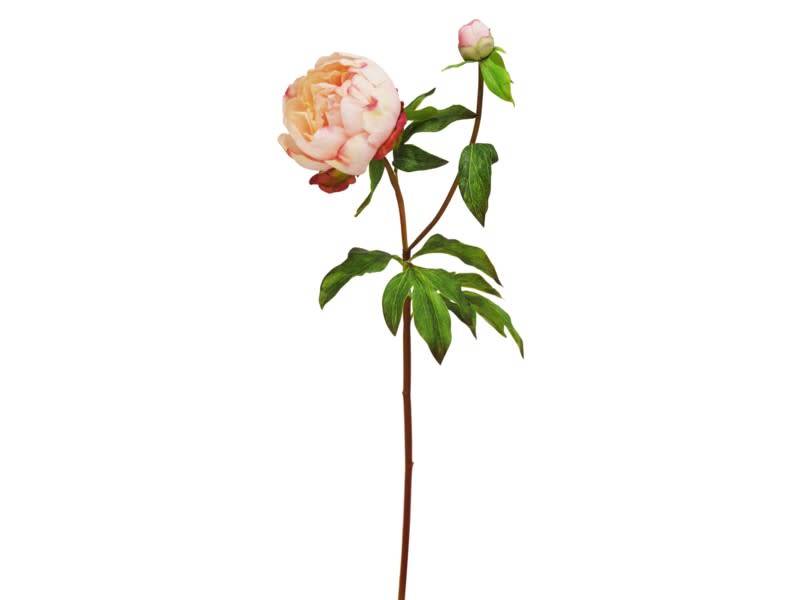 Natural Touch Peony Bloom (4 Colors)