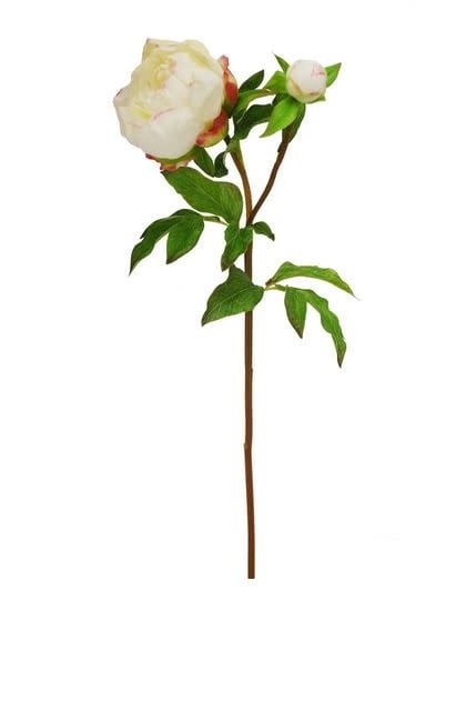 Natural Touch Peony Bloom (4 Colors)
