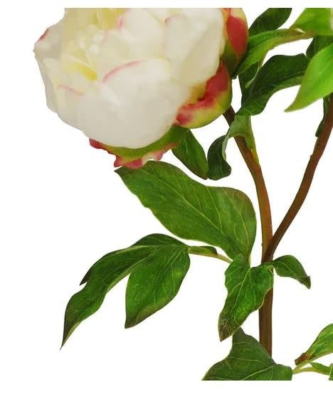 Natural Touch Peony Bloom (4 Colors)