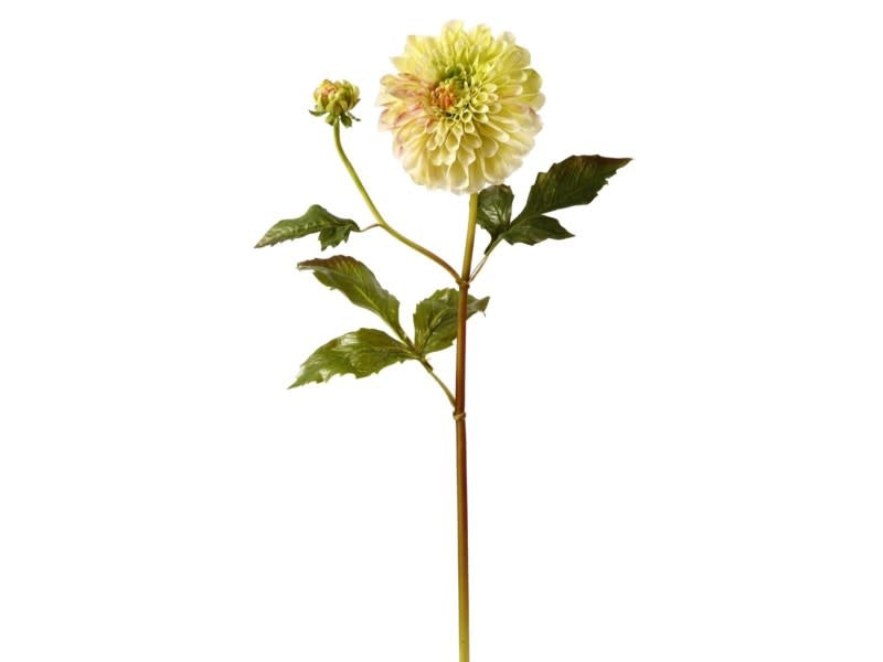 Large Dahlia (2 Colors)