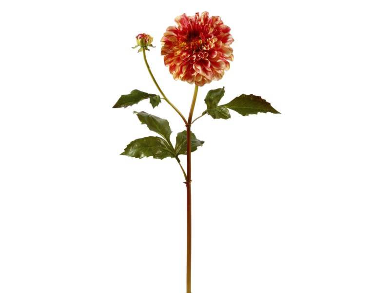 Large Dahlia (2 Colors)