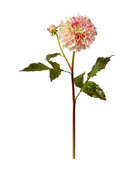 Large Dahlia (2 Colors)