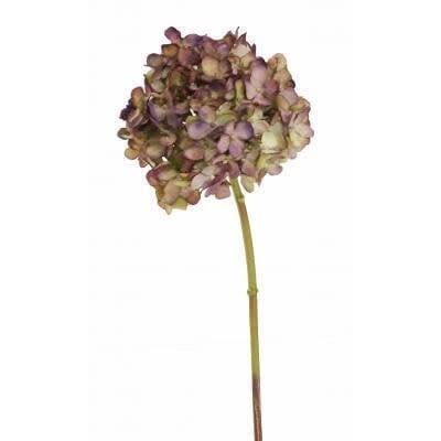 Rounded Petal Hydrangea (3 Colors)