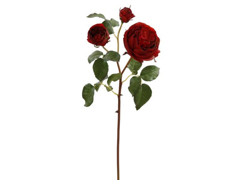 English Rose Bloom (4-Colors)