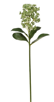 20" Green Skemmk Spray